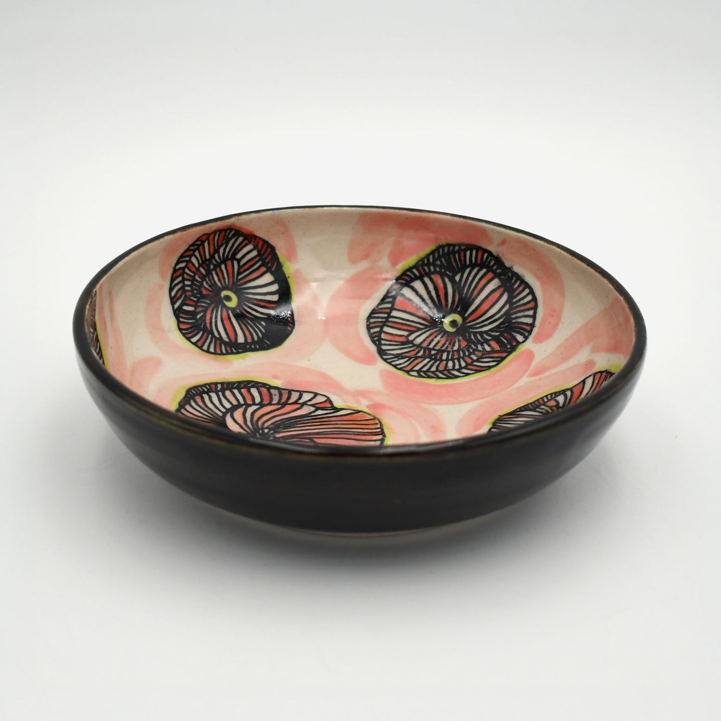 (15) Rosettes for You