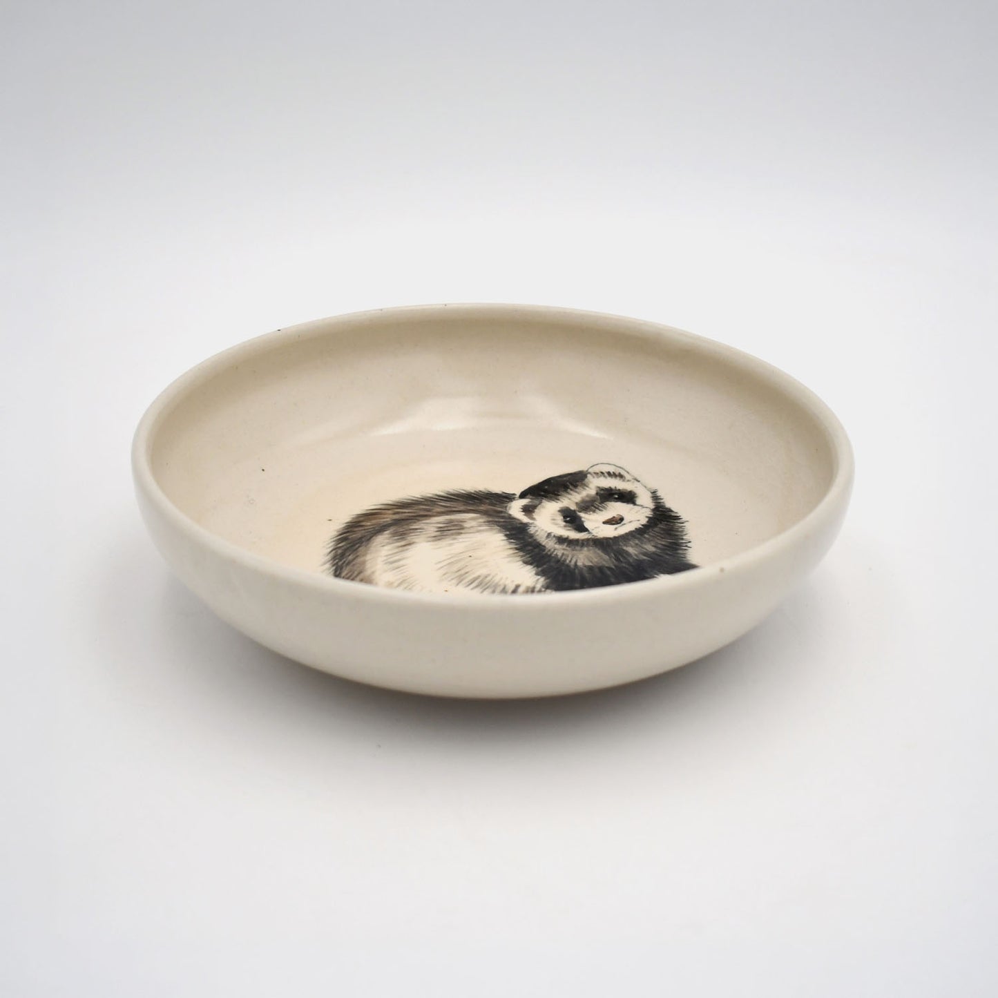 (19) Ferret Bueller's Day Off