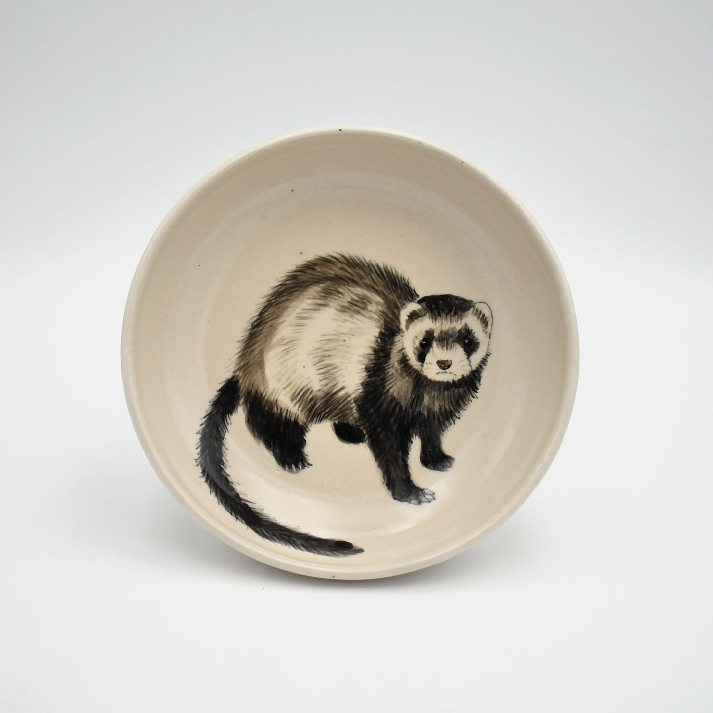 (19) Ferret Bueller's Day Off