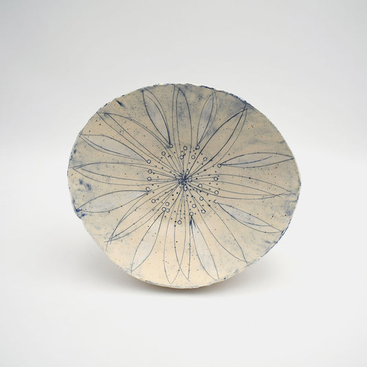 (37) Allium from Above