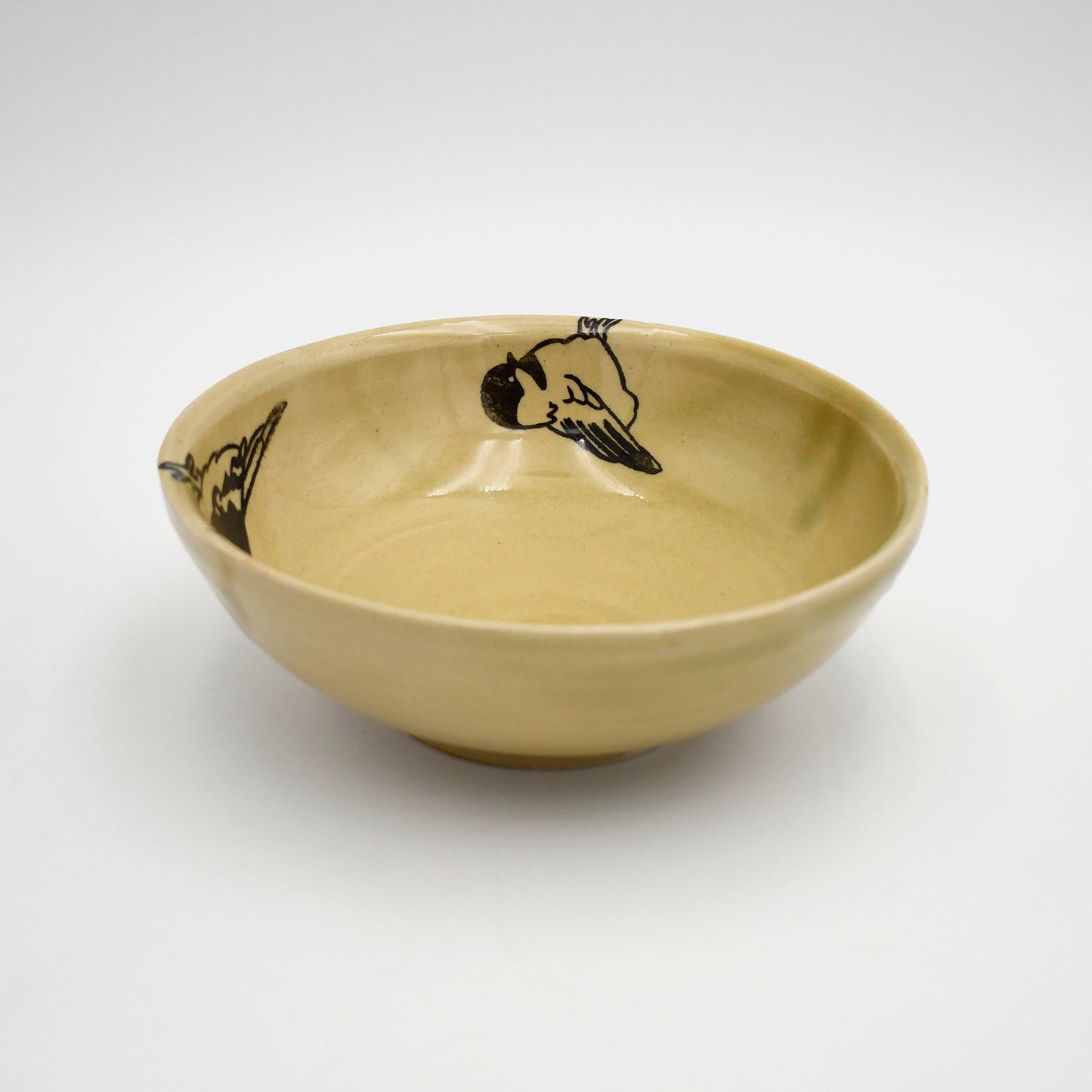 (05) Birds of Different Feathers